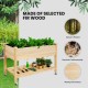 Wood Raised Garden Bed Elevated Planter Bed with Wheels Storage Shelf & Liner