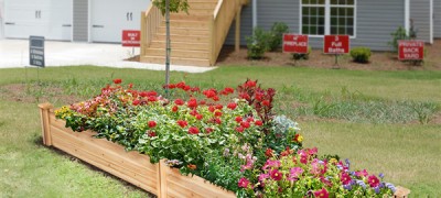 raised-garden-bed
