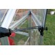 【Home&Garden】Vitavia 8x6 Venus 5000 Greenhouse - Horticultural Glass
