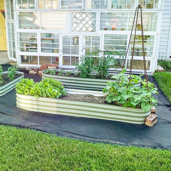 11'' Tall 8x2 Metal Raised Garden Beds (9 in 1)