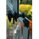 【Home&Garden】Vitavia 8x6 Venus 5000 Greenhouse - Horticultural Glass