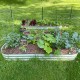 11'' Tall 8x2 Metal Raised Garden Beds (9 in 1)
