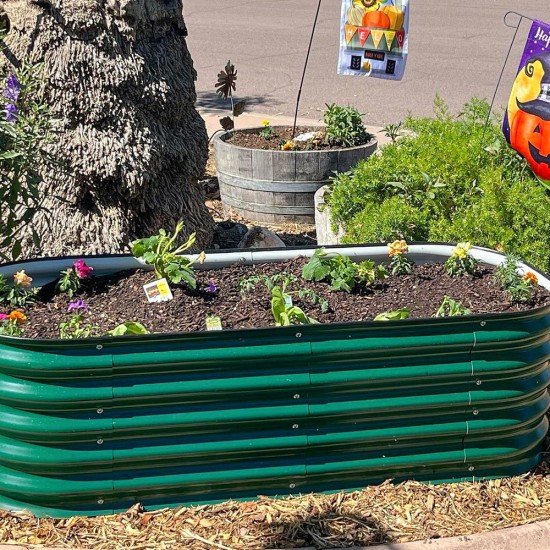 17" Tall 5x2 Metal Raised Garden Beds (4 in 1)