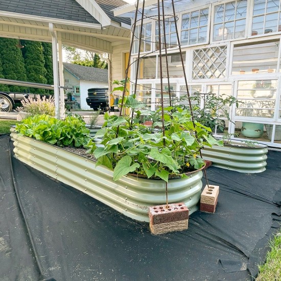 11'' Tall 8x2 Metal Raised Garden Beds (9 in 1)