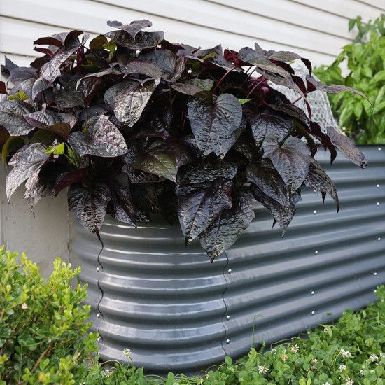 32'' Tall 8'x2' Metal Raised Garden Beds (9 in 1)
