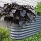 32'' Tall 8'x2' Metal Raised Garden Beds (9 in 1)