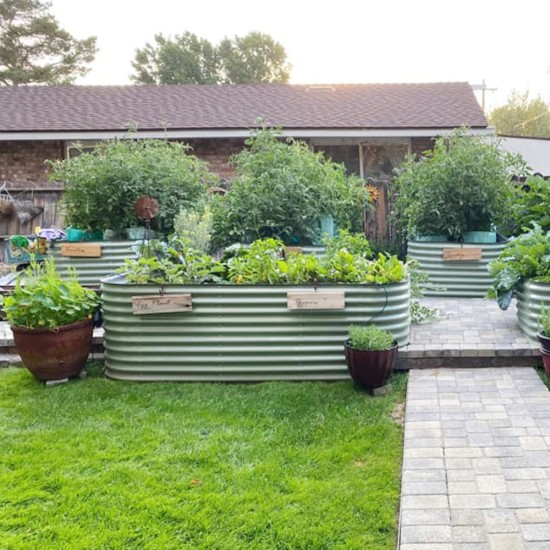 32'' Tall 8'x2' Metal Raised Garden Beds (9 in 1)