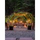 "EcoGrow Self-Watering Elevated Garden Bed with Clever Arch"