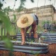 8'' Tall 5'x2' Metal Raised Garden Beds (4 in 1)