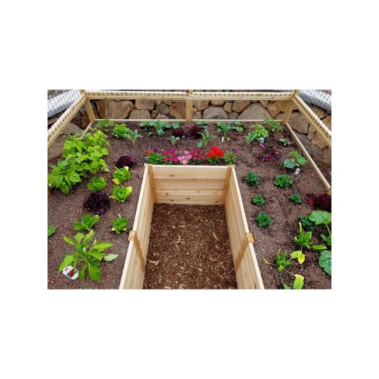 Garden in a Box with Deer Fence, 8' x 12'