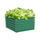 17"Tall 3.1'x3.2' Pentagon Metal Raised Garden Beds