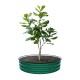 8'' Tall 42'' Round Metal Raised Garden Beds