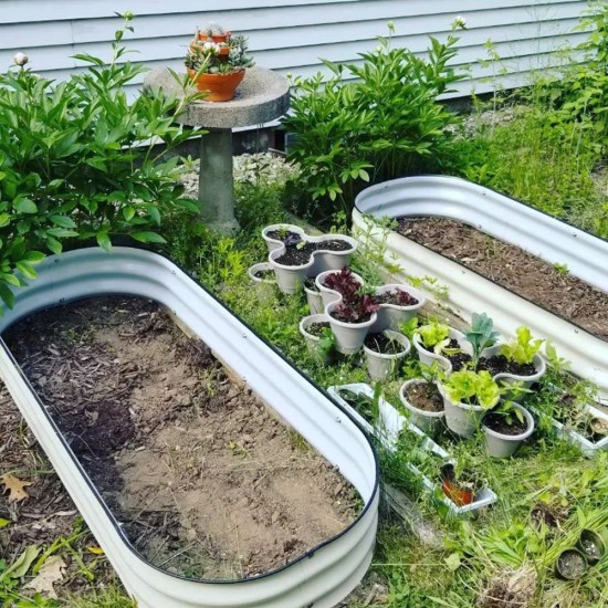 8'' Tall 5'x2' Metal Raised Garden Beds (4 in 1)