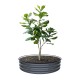 8'' Tall 42'' Round Metal Raised Garden Beds