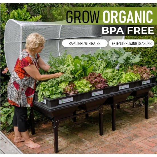 Buy 2 Get 2 Free