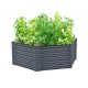 17"Tall 3.5'x4' Hexagon Metal Raised Garden Beds