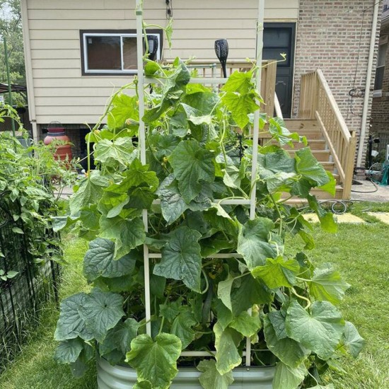 Wall Trellis (Zn-Al-Mg stainless steel) For 8 ft.L / 6.5 ft.L