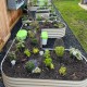 17" Tall U-Shaped Standard Size Metal Raised Garden Beds