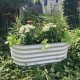 17"Tall 3.5'x2' Metal Raised Garden Beds (2 in 1)
