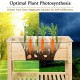 Wooden Outdoor Raised Garden Bed with Storage Shelf