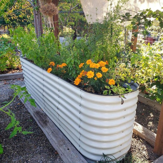 32'' Tall 8'x2' Metal Raised Garden Beds (9 in 1)