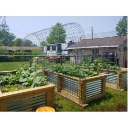 Vegeta Corrugated Metal Raised Garden Bed