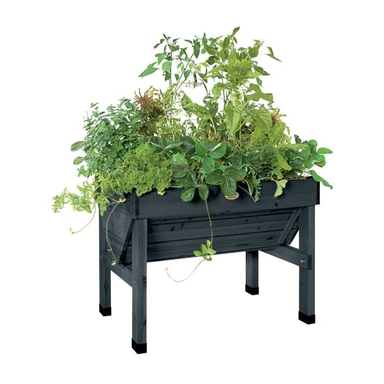 Compact Patio Garden