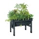 Compact Patio Garden