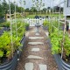 Arched Trellis (Zn-Al-Mg stainless steel) For 8ft.L/ For 6.5ft.L