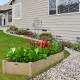 Wooden Raised Garden Bed Outdoor Wood Planter Box for Vegetables Flowers Fruit