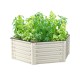17"Tall 3.5'x4' Hexagon Metal Raised Garden Beds