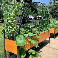 "EcoGrow Self-Watering Elevated Garden Bed with Clever Arch"