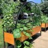 "EcoGrow Self-Watering Elevated Garden Bed with Clever Arch"
