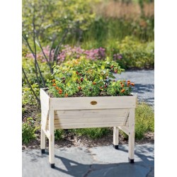 Compact Patio Garden