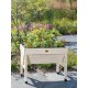 Compact Patio Garden