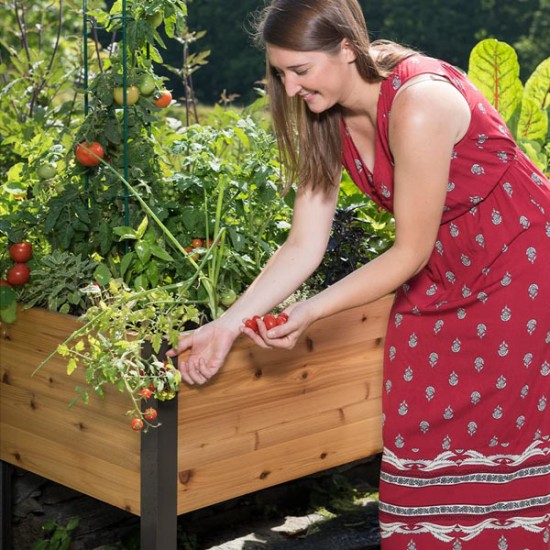 "EcoGrow Self-Watering Elevated Garden Bed with Clever Arch"
