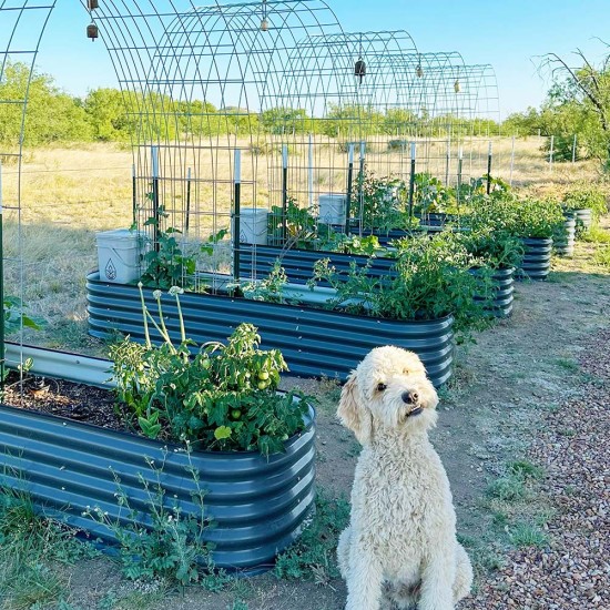 17'' Tall 8x2 Metal Raised Garden Beds (9 in 1)