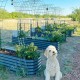 17'' Tall 8x2 Metal Raised Garden Beds (9 in 1)