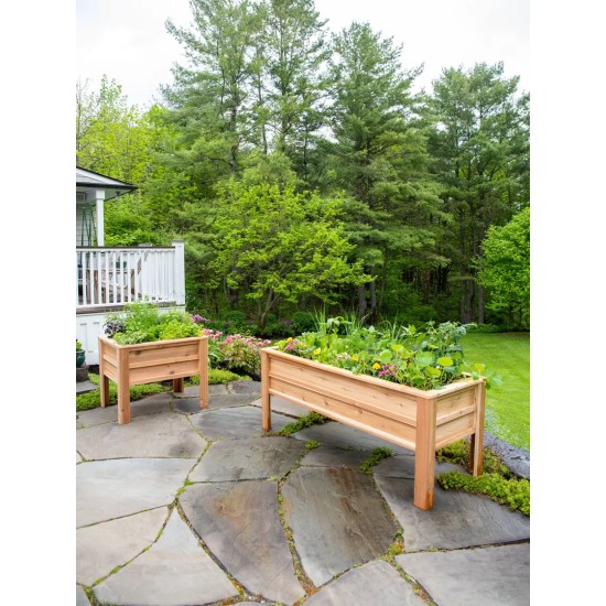 Craftsbury Elevated Raised Beds