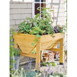 Compact Patio Garden