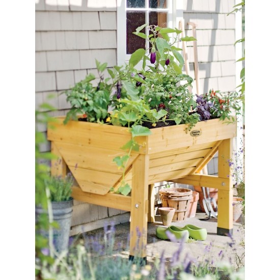 Compact Patio Garden
