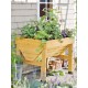 Compact Patio Garden