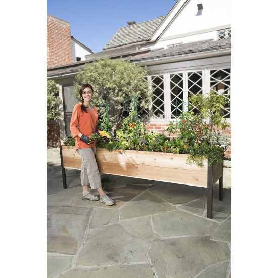 "EcoGrow Self-Watering Elevated Garden Bed with Clever Arch"