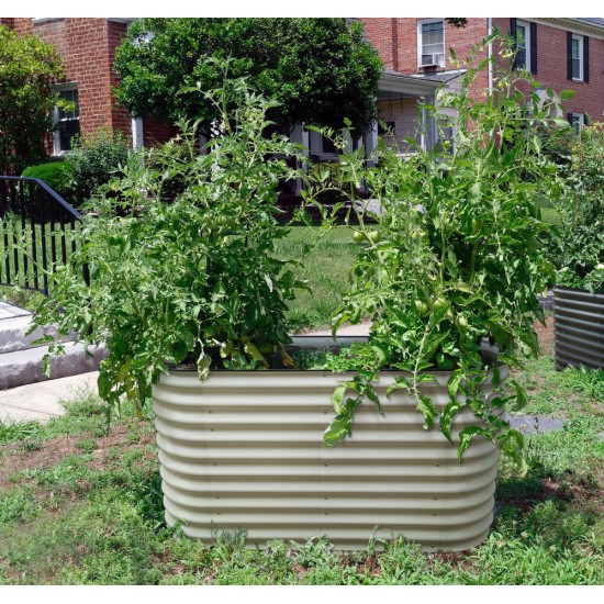 32'' Tall 5x2 Metal Raised Garden Beds (4 in 1)