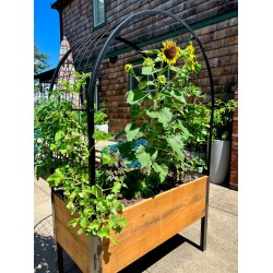 2' x 4' Arch Trellis with Planter Boxes