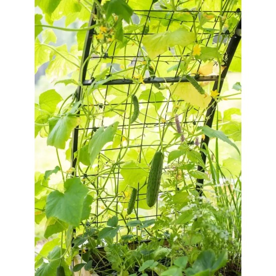 "EcoGrow Self-Watering Elevated Garden Bed with Clever Arch"