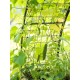 "EcoGrow Self-Watering Elevated Garden Bed with Clever Arch"