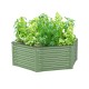 17"Tall 3.5'x4' Hexagon Metal Raised Garden Beds
