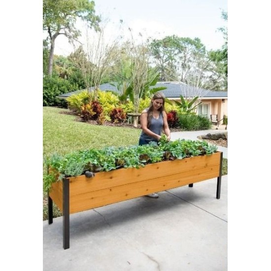 "EcoGrow Self-Watering Elevated Garden Bed with Clever Arch"