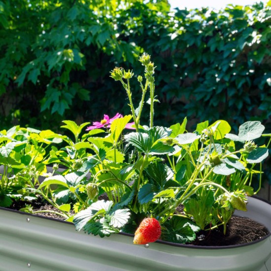 17" Tall 5'x2' Metal Raised Garden Beds (4 in 1)